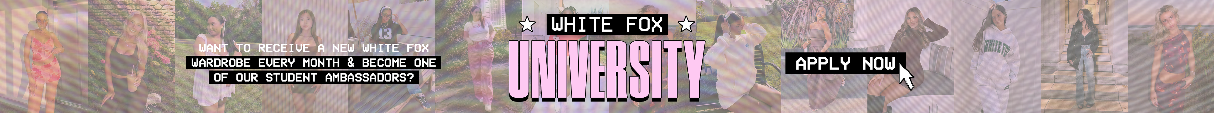 white-fox-university