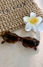 Hamptons Sunglasses Tortoise