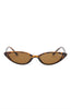 She's Chic Sunglasses Tortoise