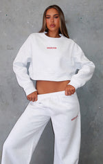 Trading Places Cropped Sweater Grey Marle